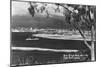 San Diego, CA Bay and City from Point Loma Photograph - San Diego, CA-Lantern Press-Mounted Art Print