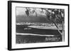 San Diego, CA Bay and City from Point Loma Photograph - San Diego, CA-Lantern Press-Framed Art Print