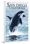 San Diego, California - Orca Jumping-Lantern Press-Framed Art Print