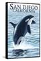 San Diego, California - Orca Jumping-Lantern Press-Framed Stretched Canvas