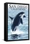 San Diego, California - Orca Jumping-Lantern Press-Framed Stretched Canvas