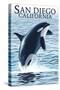 San Diego, California - Orca Jumping-Lantern Press-Stretched Canvas