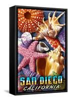 San Diego, California - Shell Montage-Lantern Press-Framed Stretched Canvas