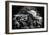 San Diego, California - Spreckels Outdoor Organ in Balboa Park-Lantern Press-Framed Art Print