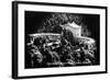 San Diego, California - Spreckels Outdoor Organ in Balboa Park-Lantern Press-Framed Art Print