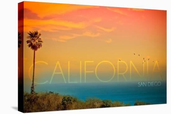 San Diego, California - Sunset and Bird-Lantern Press-Stretched Canvas