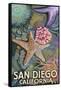 San Diego, California - Tidepool-Lantern Press-Framed Stretched Canvas