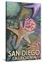 San Diego, California - Tidepool-Lantern Press-Stretched Canvas