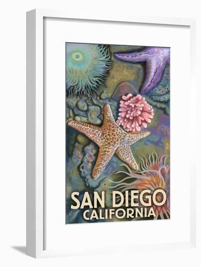 San Diego, California - Tidepool-Lantern Press-Framed Art Print