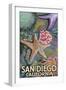 San Diego, California - Tidepool-Lantern Press-Framed Art Print