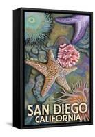 San Diego, California - Tidepool-Lantern Press-Framed Stretched Canvas