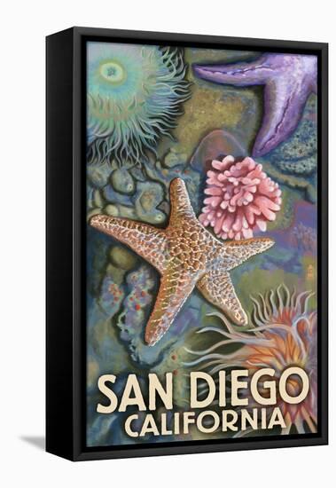 San Diego, California - Tidepool-Lantern Press-Framed Stretched Canvas