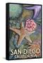 San Diego, California - Tidepool-Lantern Press-Framed Stretched Canvas