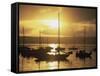 San Diego, California, USA-null-Framed Stretched Canvas
