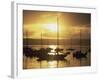 San Diego, California, USA-null-Framed Photographic Print