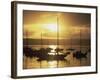 San Diego, California, USA-null-Framed Photographic Print