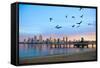 San Diego City Scape at Dawn with Seagulls Flying in the Foreground-pdb1-Framed Stretched Canvas