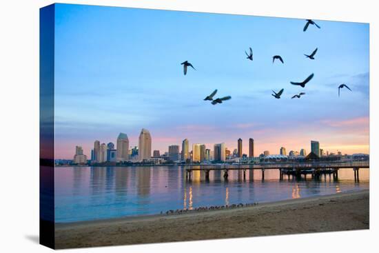 San Diego City Scape at Dawn with Seagulls Flying in the Foreground-pdb1-Stretched Canvas