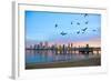 San Diego City Scape at Dawn with Seagulls Flying in the Foreground-pdb1-Framed Photographic Print