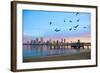 San Diego City Scape at Dawn with Seagulls Flying in the Foreground-pdb1-Framed Photographic Print