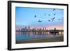 San Diego City Scape at Dawn with Seagulls Flying in the Foreground-pdb1-Framed Photographic Print