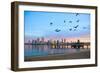 San Diego City Scape at Dawn with Seagulls Flying in the Foreground-pdb1-Framed Photographic Print