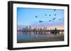 San Diego City Scape at Dawn with Seagulls Flying in the Foreground-pdb1-Framed Photographic Print