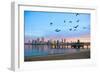 San Diego City Scape at Dawn with Seagulls Flying in the Foreground-pdb1-Framed Photographic Print