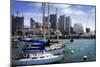 San Diego Que I-Alan Hausenflock-Mounted Photographic Print