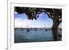 San Diego Que IV-Alan Hausenflock-Framed Photographic Print