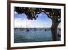 San Diego Que IV-Alan Hausenflock-Framed Photographic Print