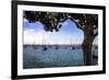 San Diego Que IV-Alan Hausenflock-Framed Photographic Print