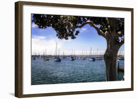 San Diego Que IV-Alan Hausenflock-Framed Photographic Print