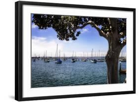 San Diego Que IV-Alan Hausenflock-Framed Photographic Print