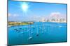 San Diego Skyline & Waterfront-null-Mounted Art Print