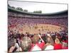 San Fermin Festival. Plaza De Toros, Pamplona, Navarra, Spain, Europe-Marco Cristofori-Mounted Photographic Print