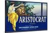 San Fernando, California, Aristocrat Brand Citrus Label-Lantern Press-Stretched Canvas