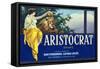 San Fernando, California, Aristocrat Brand Citrus Label-Lantern Press-Framed Stretched Canvas