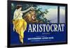 San Fernando, California, Aristocrat Brand Citrus Label-Lantern Press-Framed Art Print