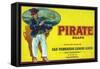 San Fernando, California, Pirate Brand Citrus Label-Lantern Press-Framed Stretched Canvas