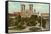 San Fernando Cathedral, San Antonio, Texas-null-Framed Stretched Canvas