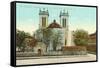 San Fernando Cathedral, San Antonio, Texas-null-Framed Stretched Canvas