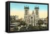 San Fernando Cathedral, San Antonio, Texas-null-Framed Stretched Canvas