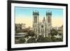 San Fernando Cathedral, San Antonio, Texas-null-Framed Art Print