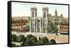 San Fernando Cathedral, San Antonio-null-Framed Stretched Canvas