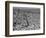 San Francisco Aerial 1973-Sal Veder-Framed Photographic Print