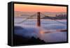 San Francisco At Sunrise, Behind The Golden Gate Bridge And A Low Blanket Of Fog-Joe Azure-Framed Stretched Canvas