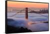 San Francisco At Sunrise, Behind The Golden Gate Bridge And A Low Blanket Of Fog-Joe Azure-Framed Stretched Canvas