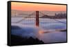 San Francisco At Sunrise, Behind The Golden Gate Bridge And A Low Blanket Of Fog-Joe Azure-Framed Stretched Canvas