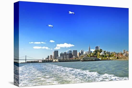 San Francisco bay - Californie - United States-Philippe Hugonnard-Stretched Canvas